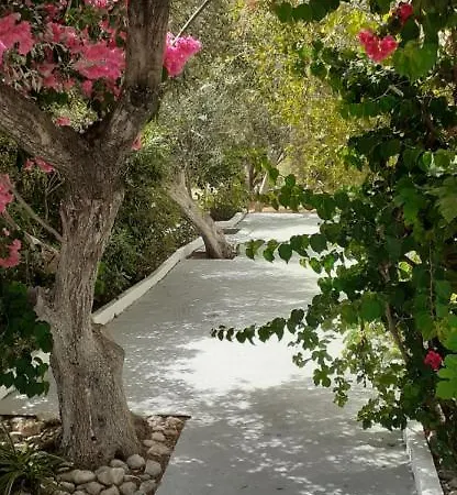 Eleftheria