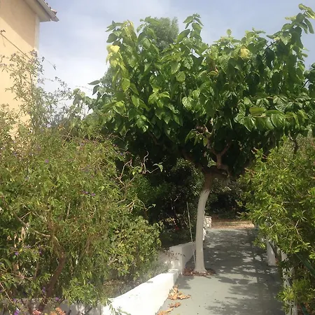 Eleftheria Appartement Trapezaki (Kefalonia)