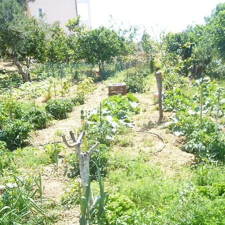 Eleftheria